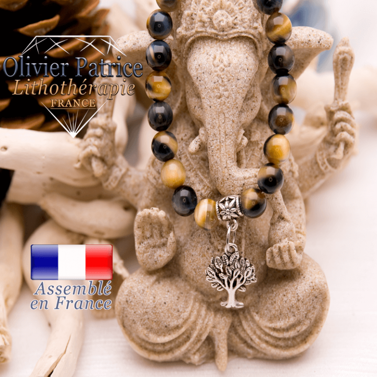 Bracelet  Œil de faucon et son charms arbre de vie en alliage