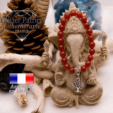 Bracelet en cornaline et son charms arbre de vie en alliage