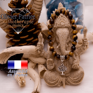 Bracelet Œil de Tigre et son charms arbre de vie en alliage