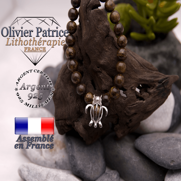 Bracelet bronzite cage tortue en argent 925