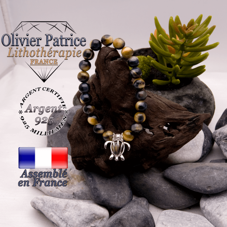 Bracelet Œil de faucon et cage tortue en argent 925
