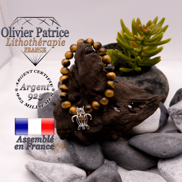 Bracelet Œil de Tigre et sa cage tortue en argent 925