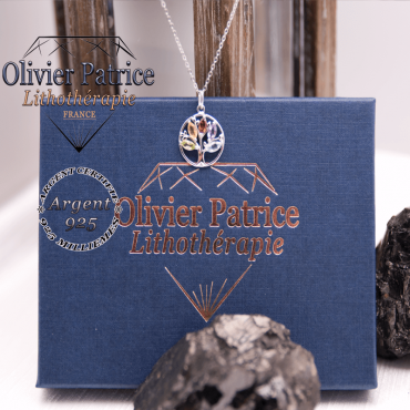 Arbre de vie 5 chakras en argent dans son écrin