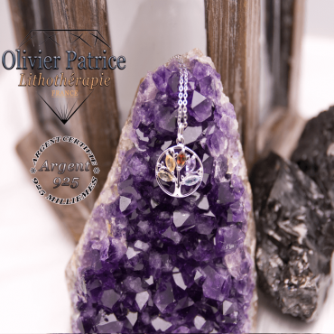 Arbre de vie 5 chakras en argent avec sa chaîne