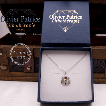 Arbre de vie 5 chakras en argent dans son écrin