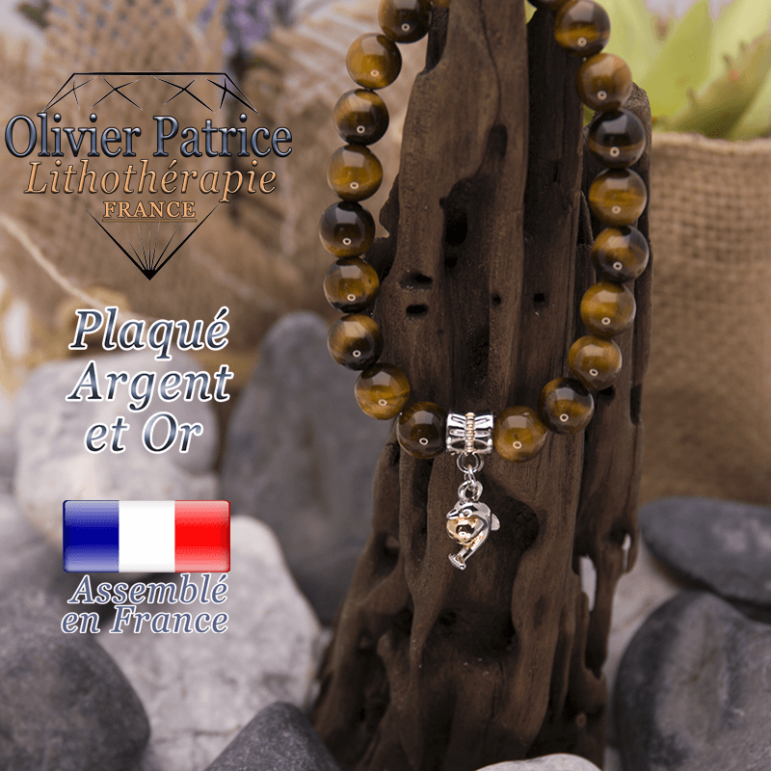 Bracelet Œil de Tigre charms dauphin plaqué or-argent