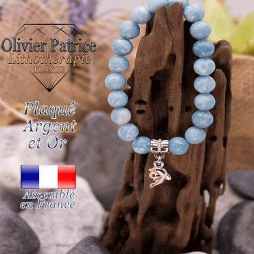 Bracelet larimar charms dauphin plaqué or-argent