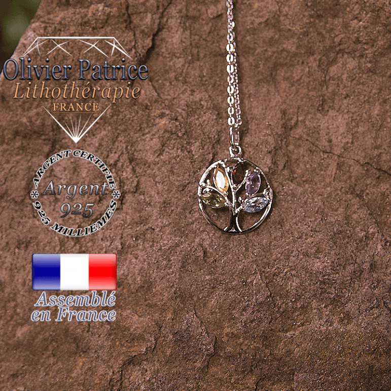 Pendentif arbre de vie rond des 5 chakras en argent 925