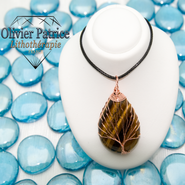 Arbre de vie œil de tigre vendu avec son cordon